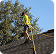 Roofing contractor